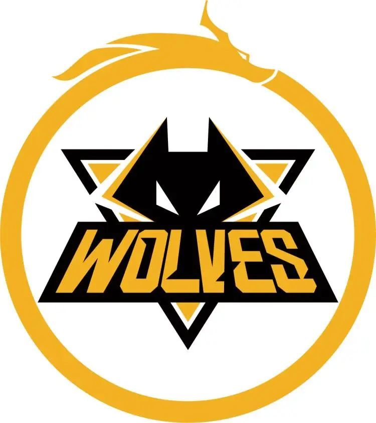 Mouz 是最后一支晋级 PGL Cluj-Napoca 2025 季后赛的队伍，击败了 Virtus.pro 。